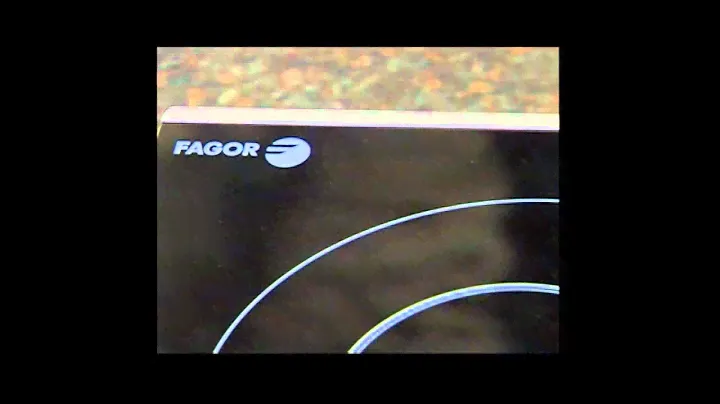 Fagor Portable Induction Cooktop 101