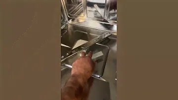 Miele dishwasher leaked water after cleaning lady did some clean up